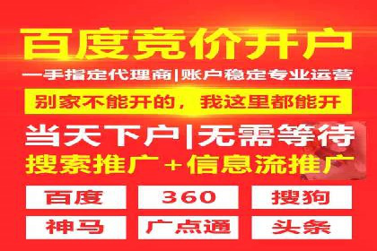 百度竞价赚钱攻略：实战案例分享